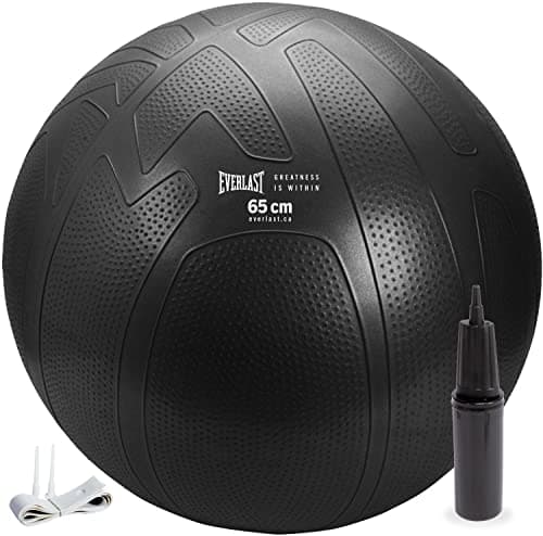 Everlast FIT Pro Grip Fitness Ball 65 cm - Burst-Resistant, Anti-Slip Stability Ball with Pump, Ideal for Home Gym, Pilates, Yoga, Balance...