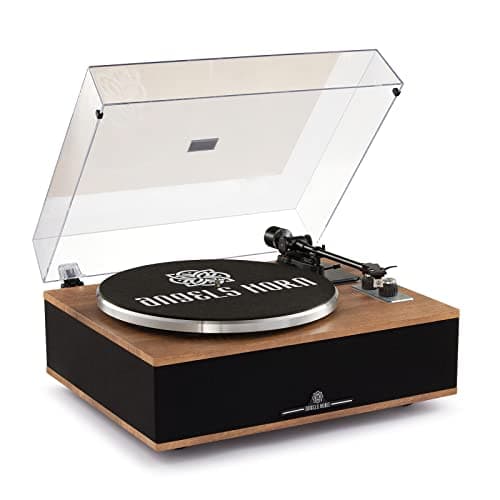 ANGELS HORN Vinyl Record Player, Bluetooth Turntable with Built in Speakers Phono Preamp, High Fidelity Turntables for Vinyl Records with Magnetic...