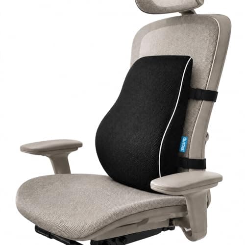 QUTOOL Lumbar Support Pillow for Office Chair, High-Density Memory Foam Back Cushion with Dual Adjustable Straps, Breathable 3D Mesh Cover,...