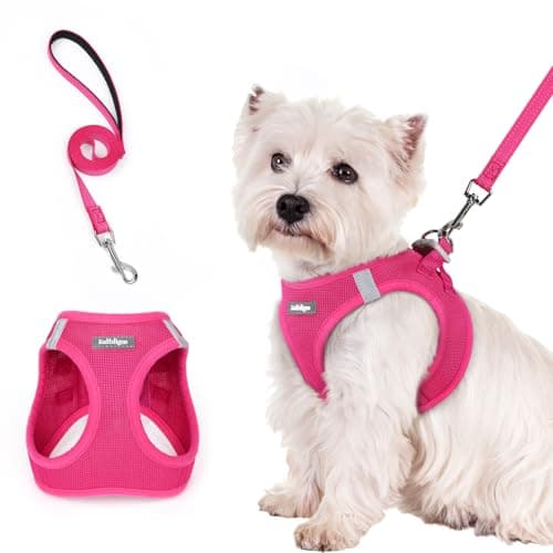 rabbitgoo Dog Harness Small Breed and Leash, Step in Soft Light Puppy Vest, Breathable Mesh No Pull Pet Harness, Reflective for Safe Easy Walking,...
