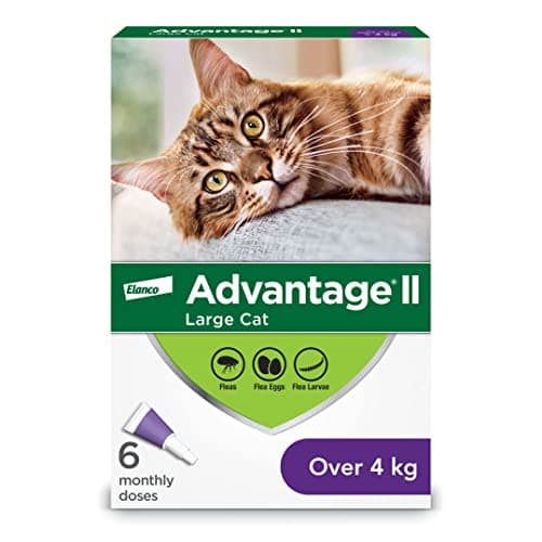 Advantage II Flea Protection for Large Cats weighing over 4 kg (over 9 lbs.) - 6 doses