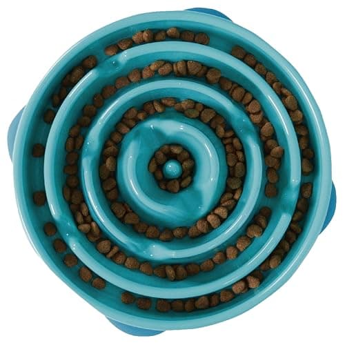 Outward Hound Fun Feeder Slo Bowl, Large Slow Feeder Dog Bowl, 4 Cups, Turquoise