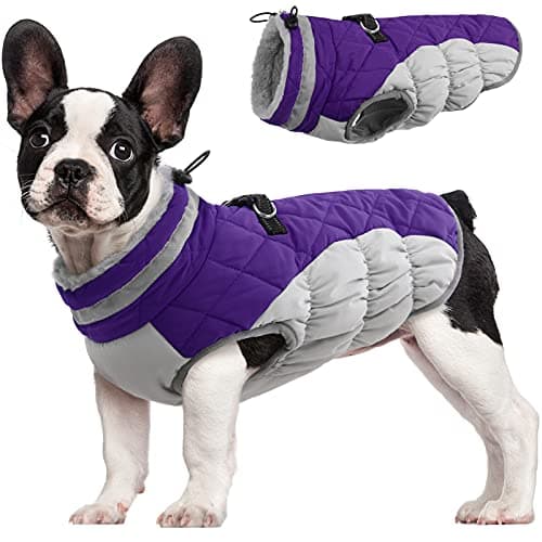 FUAMEY Dog Coat for Small Dogs,Waterproof Dog Winter Jacket with Harness Built in Puppy Cold Weather Coats Reflective Pet Vest with Zipper Warm...