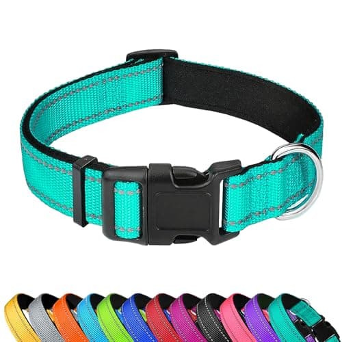 PWOD Reflective Dog Collar, Adjustable Soft Neoprene Padded Nylon Pet Collars with Buckle for Large Dogs, Teal,L