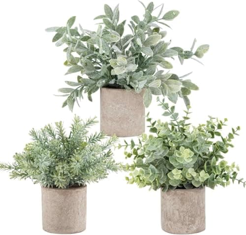 Der Rose 3 Pack Mini Potted Fake Plants Artificial Plastic Eucalyptus Plants for Home Office Desk Farmhouse Room Decor Indoor